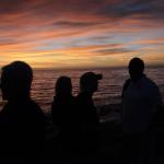 cambria_434 (November 03, 2018)